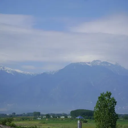 Olympic Aslanidis Apartman *